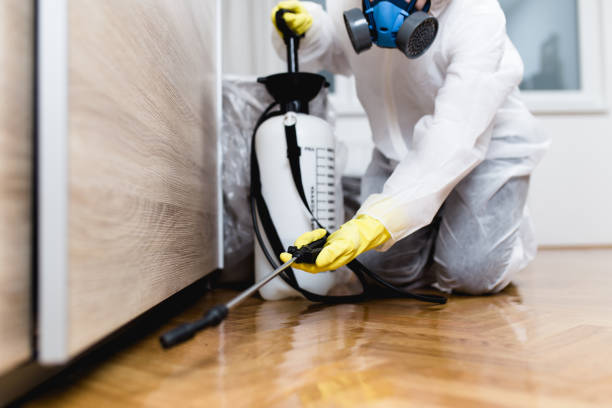 Best Exterminator Services  in Wheaton, MN