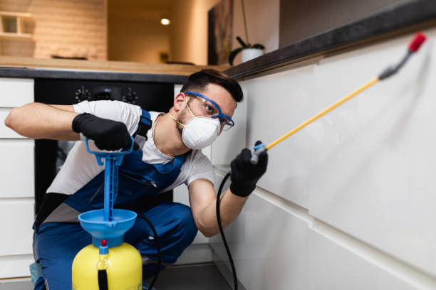 Best Pest Control Treatment  in Wheaton, MN