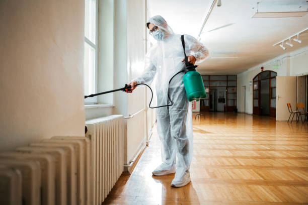Best Termite Control Services  in Wheaton, MN