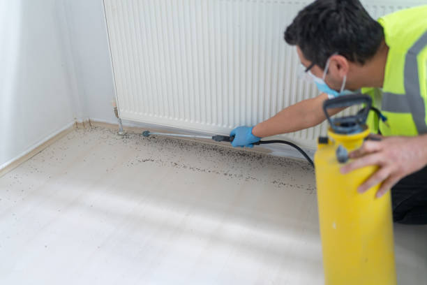 Best Emergency Pest Control  in Wheaton, MN
