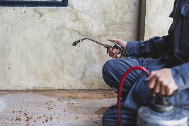 Pest Prevention Services in Wheaton, MN